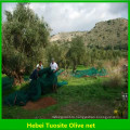 ПНД плодов оливкового упаковка чистая, оливковое сбор сетка